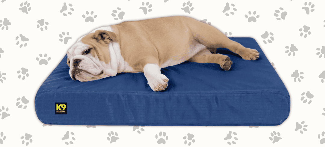 Top Orthopedic Dog Beds for Comfort & Joint Health