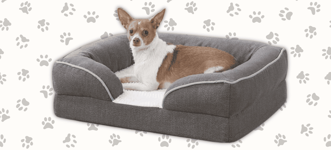 Top Orthopedic Dog Beds for Comfort & Joint Health