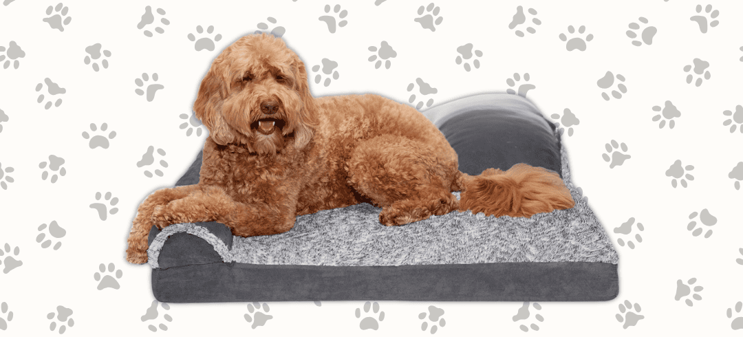 Top Orthopedic Dog Beds for Comfort & Joint Health