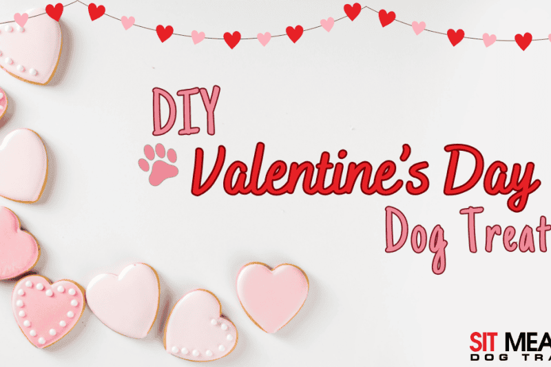 DIY Valentine's Dog Treats