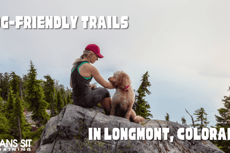 Dog-Friendly Hiking Trails Near Longmont, Colorado