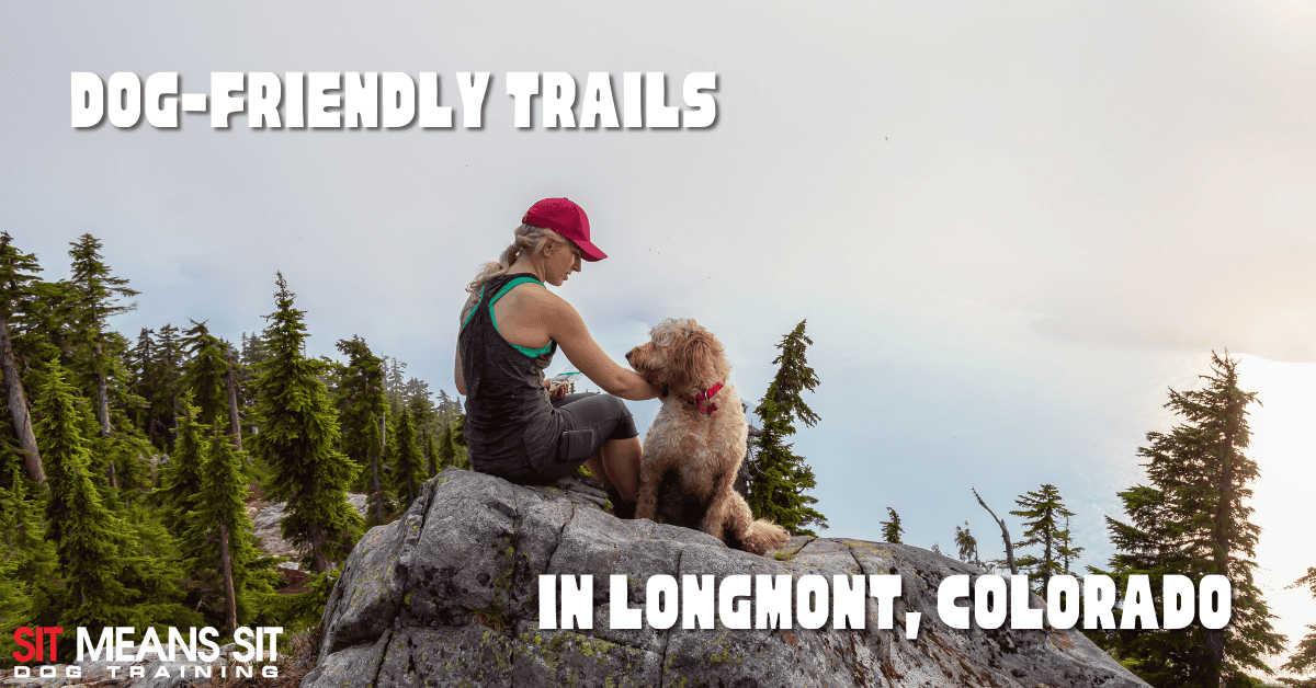 Dog-Friendly Hiking Trails Near Longmont, Colorado