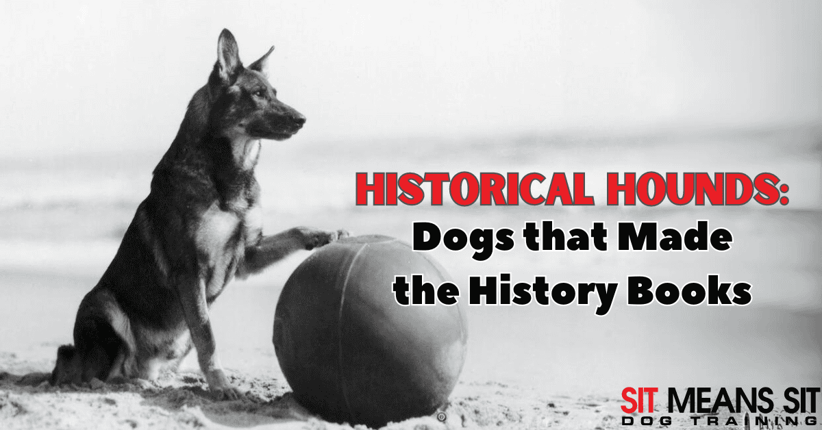 Historical Hounds: Dogs that Made the History Books