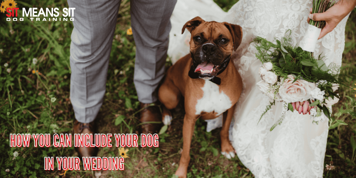 How You Can Include Your Dog in Your Wedding