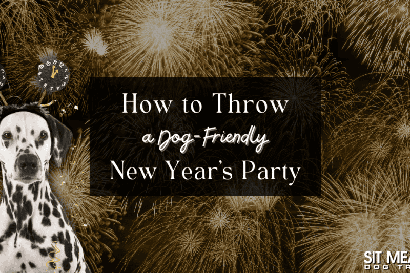 Throw the Ultimate Dog-Friendly New Year's Eve Bash