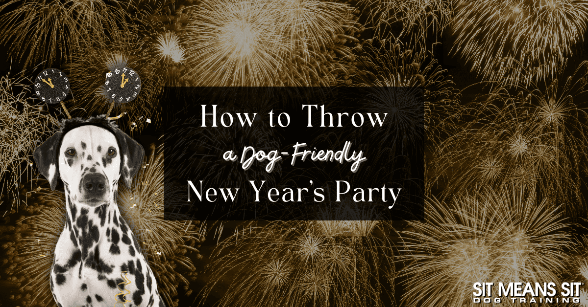 Throw the Ultimate Dog-Friendly New Year's Eve Bash