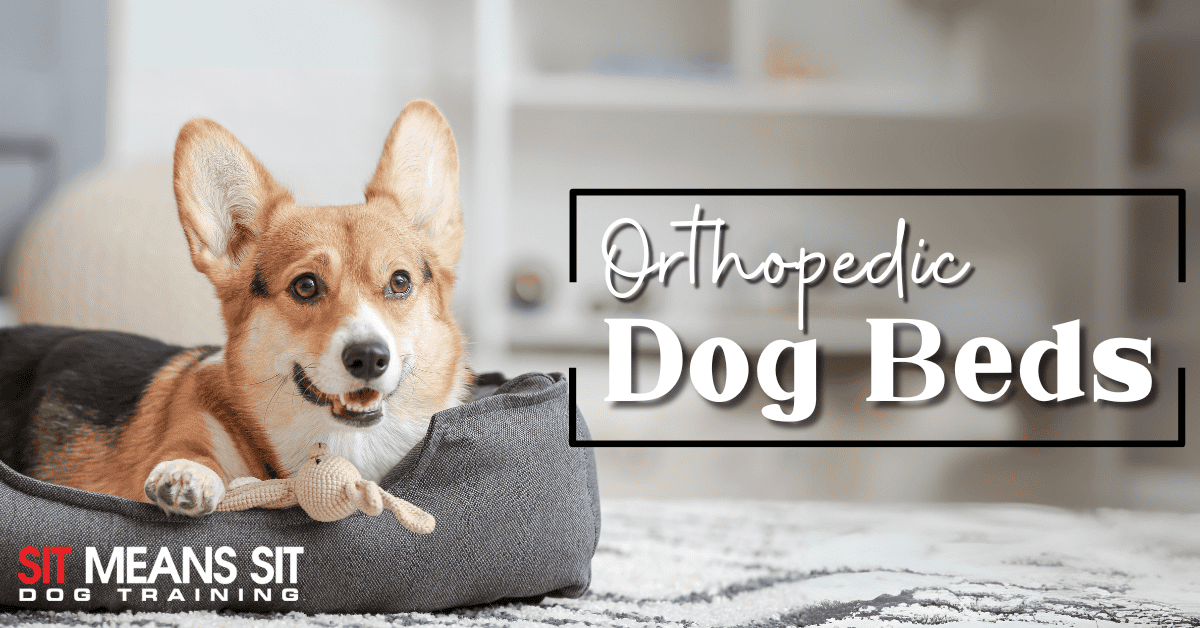 Top Orthopedic Dog Beds for Comfort and Joint Health